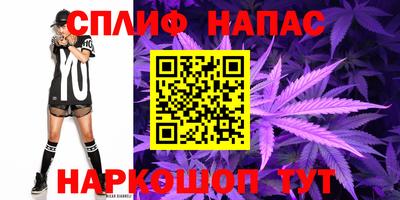 прущие грибы Мариинск