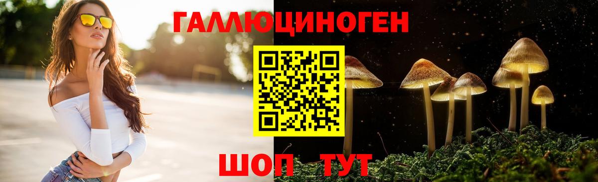 Галлюциногенные грибы мицелий  Псилоцибиновые грибы GOLDEN TEACHER  Вход с VPN  Азов 